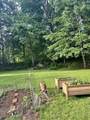 1537 Lake Dunmore Road - Photo 34