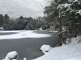 1537 Lake Dunmore Road - Photo 39