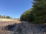 69 Plumb Pak Drive - Photo 10