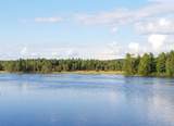 Lot 14 Northeast Pond Road - Photo 2