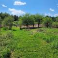102 River Bend Meadow Drive - Photo 28