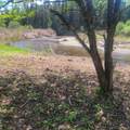 102 River Bend Meadow Drive - Photo 31