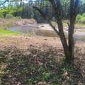 102 River Bend Meadow Drive - Photo 32
