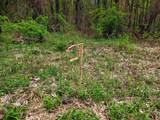 1073 Chapel Road - Photo 47