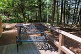 14 Bay Tree Lane - Photo 22