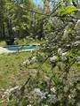 50 Gaudette Farm Road - Photo 14