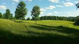 Lot B Windmill Lane - Photo 2