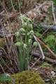 Lot B Windmill Lane - Photo 40