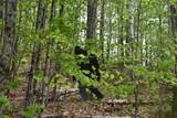 Lot B Windmill Lane - Photo 8