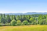 299 Greaves Hill Road - Photo 11