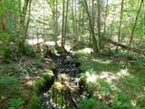 0 Cloutiers Loop - Photo 11