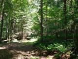 0 Cloutiers Loop - Photo 5
