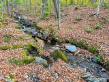 0 Cider Mountain Road - Photo 20