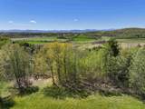 TBD Forrest Road - Photo 6