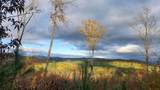 00 Route 302 - Photo 1