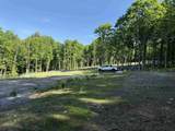 - Foliage Lane - Photo 15