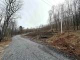 - Foliage Lane - Photo 18