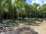 - Foliage Lane - Photo 21