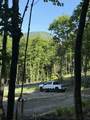 - Foliage Lane - Photo 22