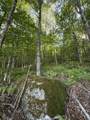 - Foliage Lane - Photo 26