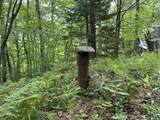 00 Ice Pond Road - Photo 3
