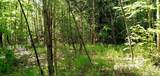 00 Arnold Lane - Photo 1