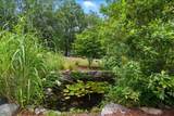 9 Dattillo Road - Photo 19