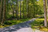 932 Mcnamara Road - Photo 40