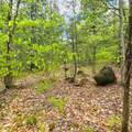 1175 Quarry Road - Photo 12