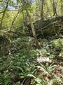 495 Mica Mine Road - Photo 31