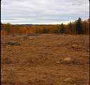 306 Baptist Hill Road - Photo 7