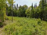 40 Bear Paw Trail - Photo 1