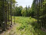 40 Bear Paw Trail - Photo 3