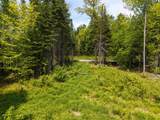 40 Bear Paw Trail - Photo 4