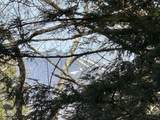 00 Brook Road - Photo 8