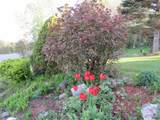 1901 Cross Road - Photo 13