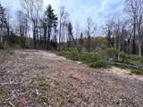 169 Sun And Ski Road - Photo 8