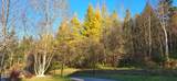 4 Pierre Road - Photo 3