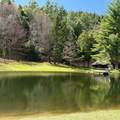 65 Bentley Lane - Photo 50