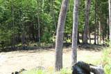 Lot 23/24 Wetherbee Road - Photo 3