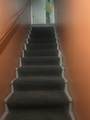 31 Twin Court - Photo 48