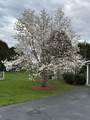 13 Austin Road - Photo 19