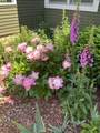13 Austin Road - Photo 41