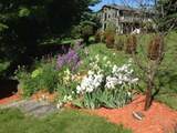 13 Austin Road - Photo 9