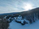 360 Okemo Trailside Extension - Photo 49