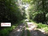 495 Mica Mine Road - Photo 15