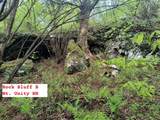 495 Mica Mine Road - Photo 29