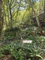 495 Mica Mine Road - Photo 30