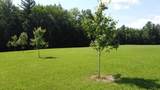 315 North Hill Road - Photo 5