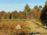 Lot 3 Old East Road - Photo 3